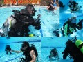 75_Dive_-33