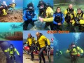 75_Dive_-50