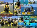 75_Dive_-64