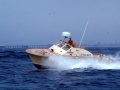 75_Surfwatch_-11
