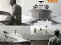 75_Surfwatch_-17