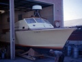 75_Surfwatch_-4