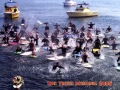75_Surfwatch_-51